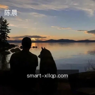 陈晨